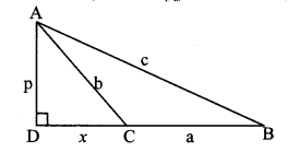 Maharashtra Board Class 10 Maths Solutions Chapter 2 Pythagoras Theorem Practice Set 2.2 10