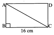 Maharashtra Board Class 10 Maths Solutions Chapter 2 Pythagoras Theorem Problem Set 2