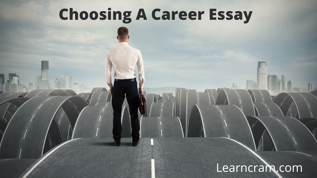 Choosing a career essay