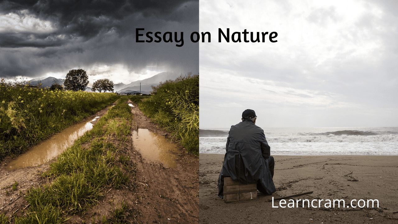 nature essay for class 8