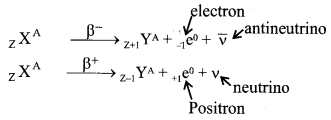 Radioactivity formulas img 6
