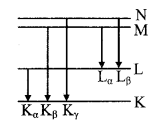 X-Ray formulas img 3
