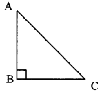 Maharashtra Board Class 7 Maths Solutions Chapter 13 Pythagoras' Theorem Practice Set 48 5