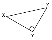 Maharashtra Board Class 7 Maths Solutions Chapter 13 Pythagoras' Theorem Practice Set 48 7
