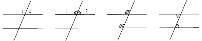 Maharashtra Board Class 9 Maths Solutions Chapter 2 Parallel Lines Problem Set 2 11